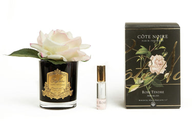 Single Rose - Black - Pink Blush - GMRB02 (Carton of 4)